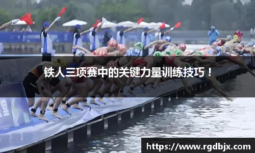 绿茵免费体育直播无插件